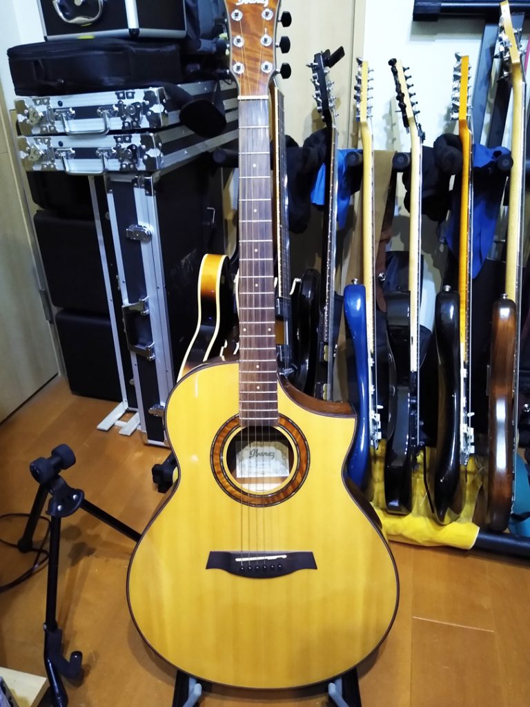 Ibanez AEW23MV